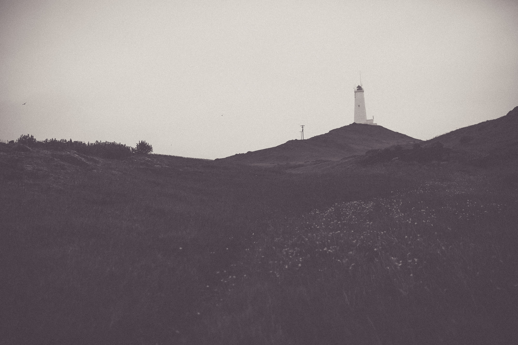 Export x3 5D4 8588 Gaby & German @ Reykanesviti 2